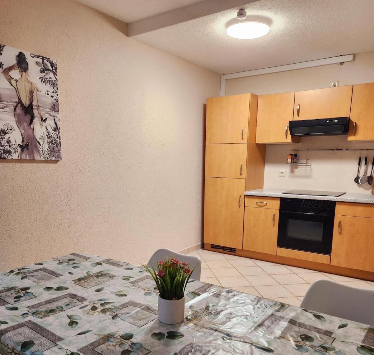Sj Apartment Кемниц Екстериор снимка
